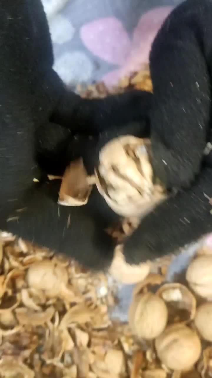 محصولات خانگی بدون مواد شیمیایی|خوردنی و آشامیدنی|شیراز, دلجو|دیوار