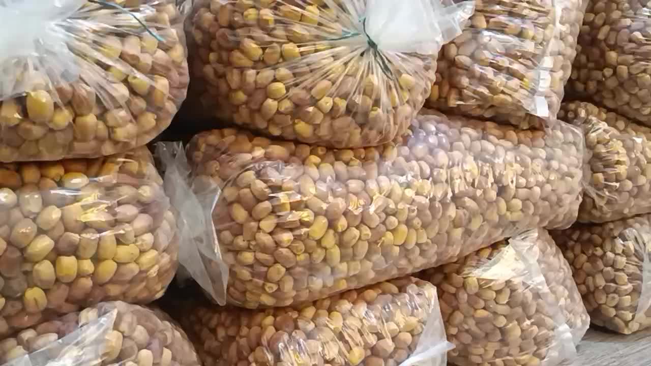 قصب پاک شده پلاستیک گرفته کیلویی82|خوردنی و آشامیدنی|فراشبند, |دیوار