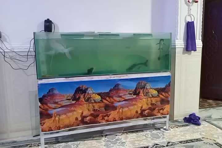 ماهی|ماهی|زابل, |دیوار