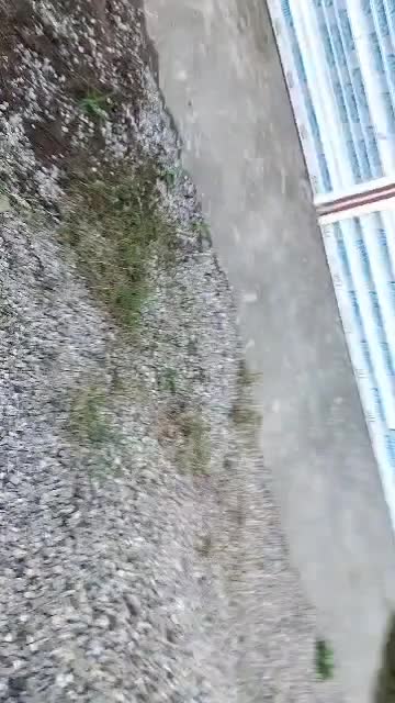 اجاره مغازه|اجارهٔ مغازه و غرفه|رضوانشهر, |دیوار