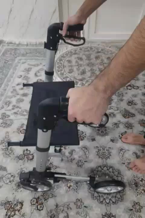 واکر طرح ویلچر آلمانی|آرایشی، بهداشتی، درمانی|کوهدشت, |دیوار