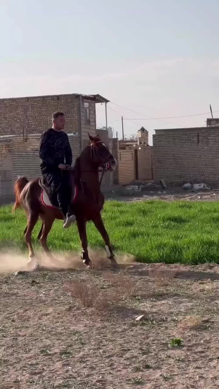 سردار|اسب و تجهیزات اسب‌سواری|بزینه رود, |دیوار