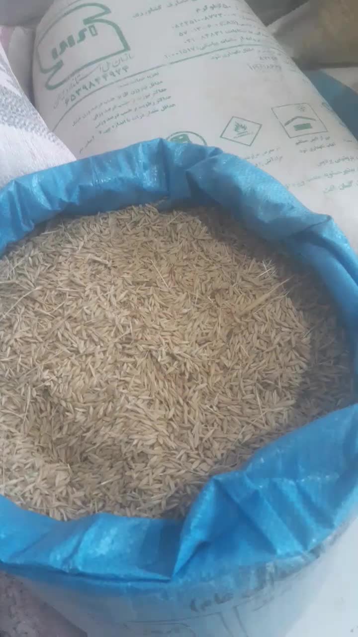 جو محلی|خدمات باغبانی و درختکاری|گلی داغ, |دیوار