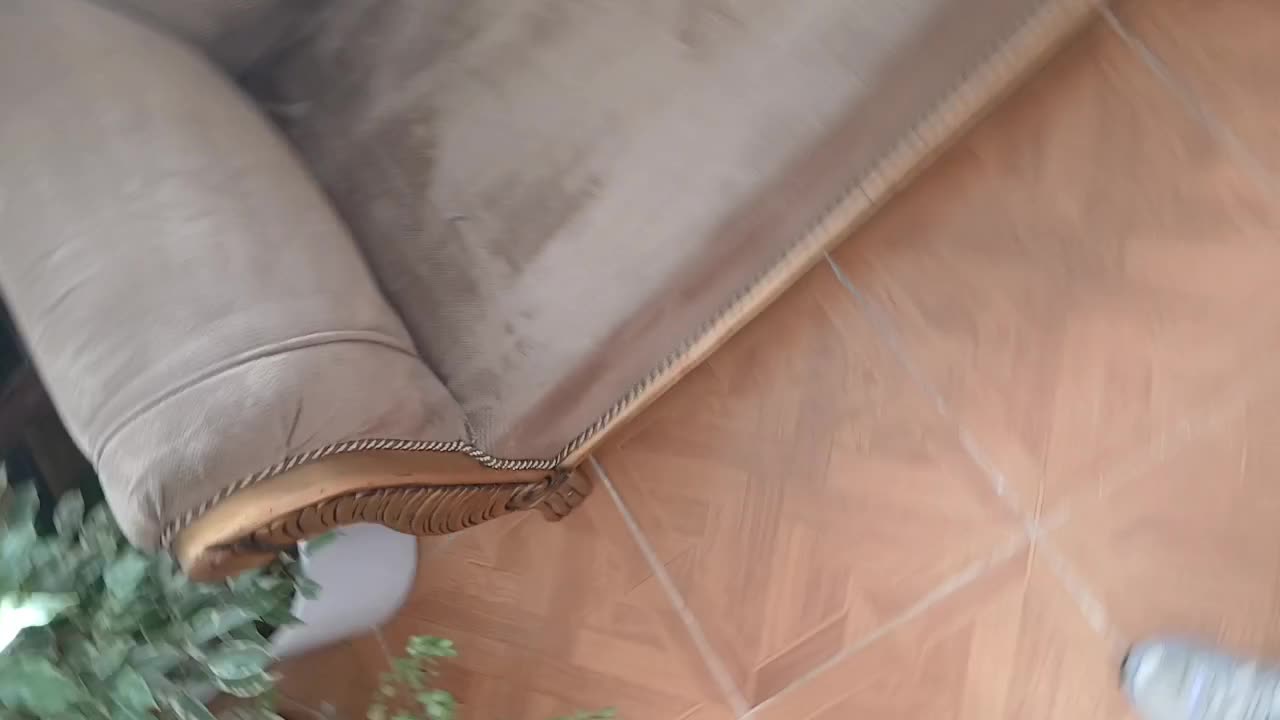 مبل‌شویی سالکی|خدمات نظافت|قرچک, محمد آباد|دیوار