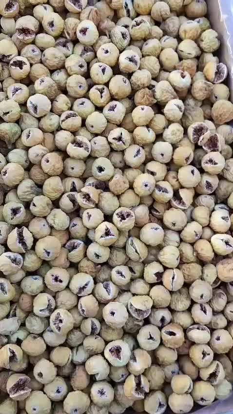 انجیر|خوردنی و آشامیدنی|شیراز, آبیاری|دیوار