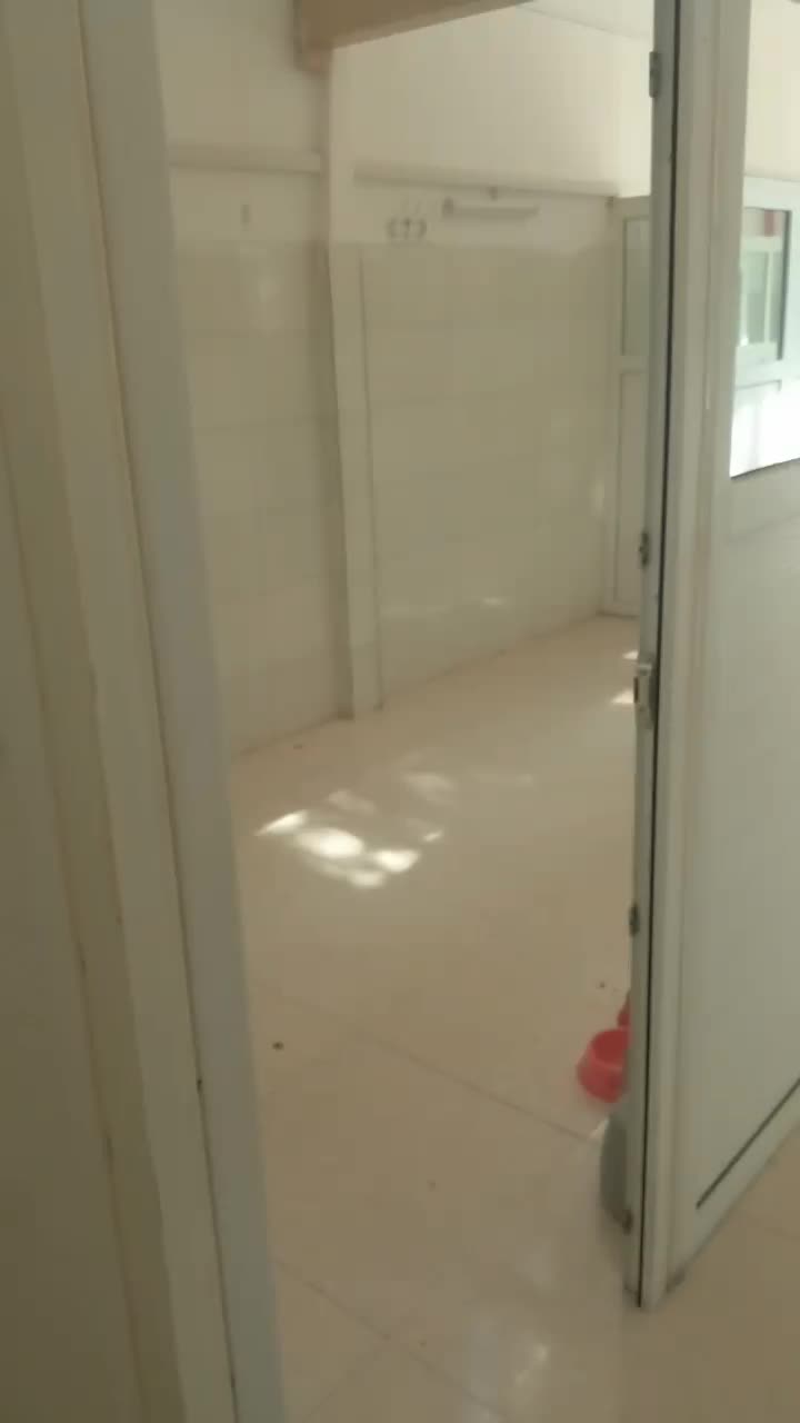 سالن یا کلینیک لوکس بر خیابان|اجارهٔ دفتر کار، اتاق اداری، مطب|اردبیل, |دیوار