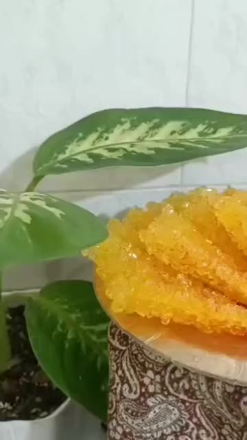 نی نبات زعفرانی و گیاهی|خوردنی و آشامیدنی|اصفهان, ارداجی|دیوار