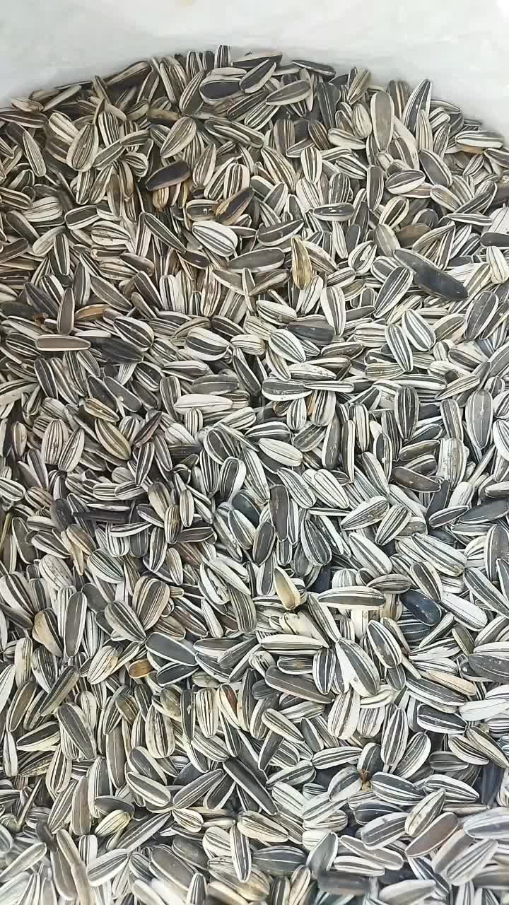 تخمه آفتابگردان|خوردنی و آشامیدنی|موچش, |دیوار