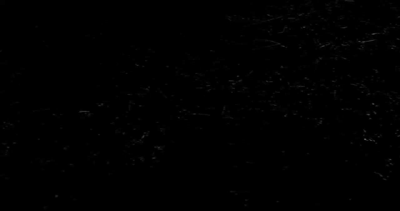 طی اسپری دار زمین شوی برند WS|لوازم نظافت|گرگان, |دیوار