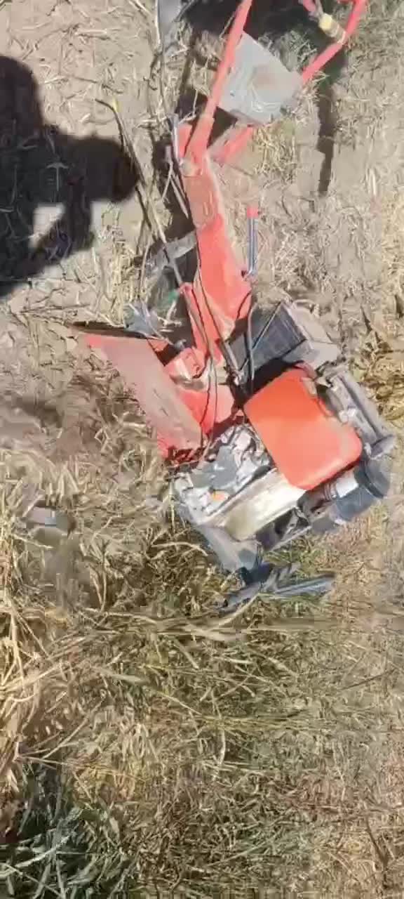 شخم زنی. قزوین(الموت وسایر اطراف حومه)|خدمات باغبانی و درختکاری|محمدیه-قزوین, |دیوار