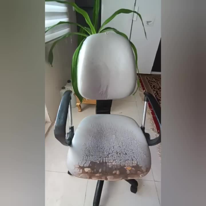 صندلی|صندلی و نیمکت|بیرجند, |دیوار