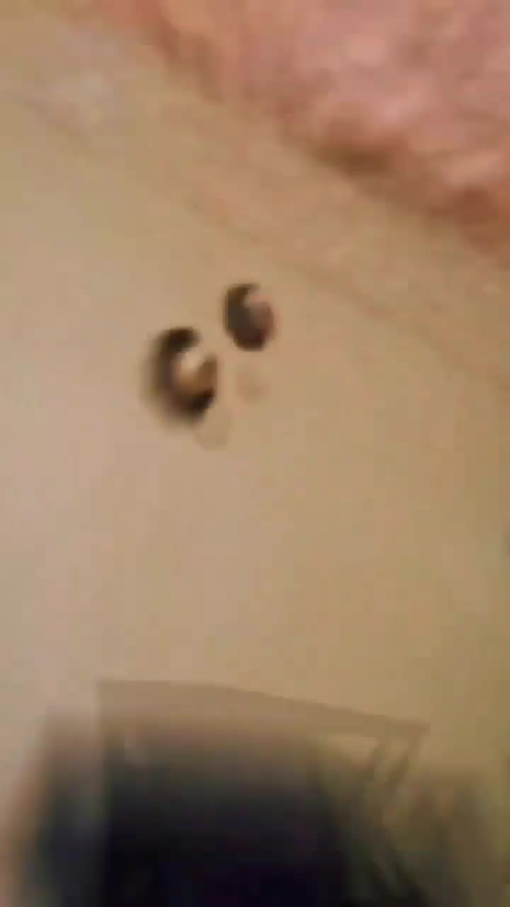 برقکار تخصصی سراسر مشهد شبانه روزی|خدمات پیشه و مهارت|مشهد, آزادشهر|دیوار