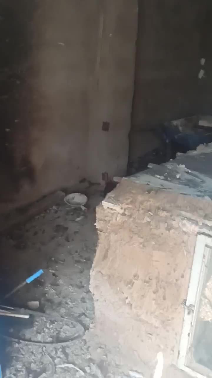 جوجه محلی ۱۰ روزه|حیوانات مزرعه|قرچک, میرزائی جنوبی|دیوار