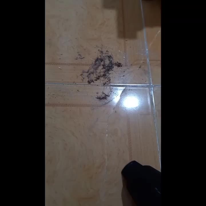 جاروشارژی فولن|جاروبرقی، جارو شارژی، بخارشو|بومهن, |دیوار