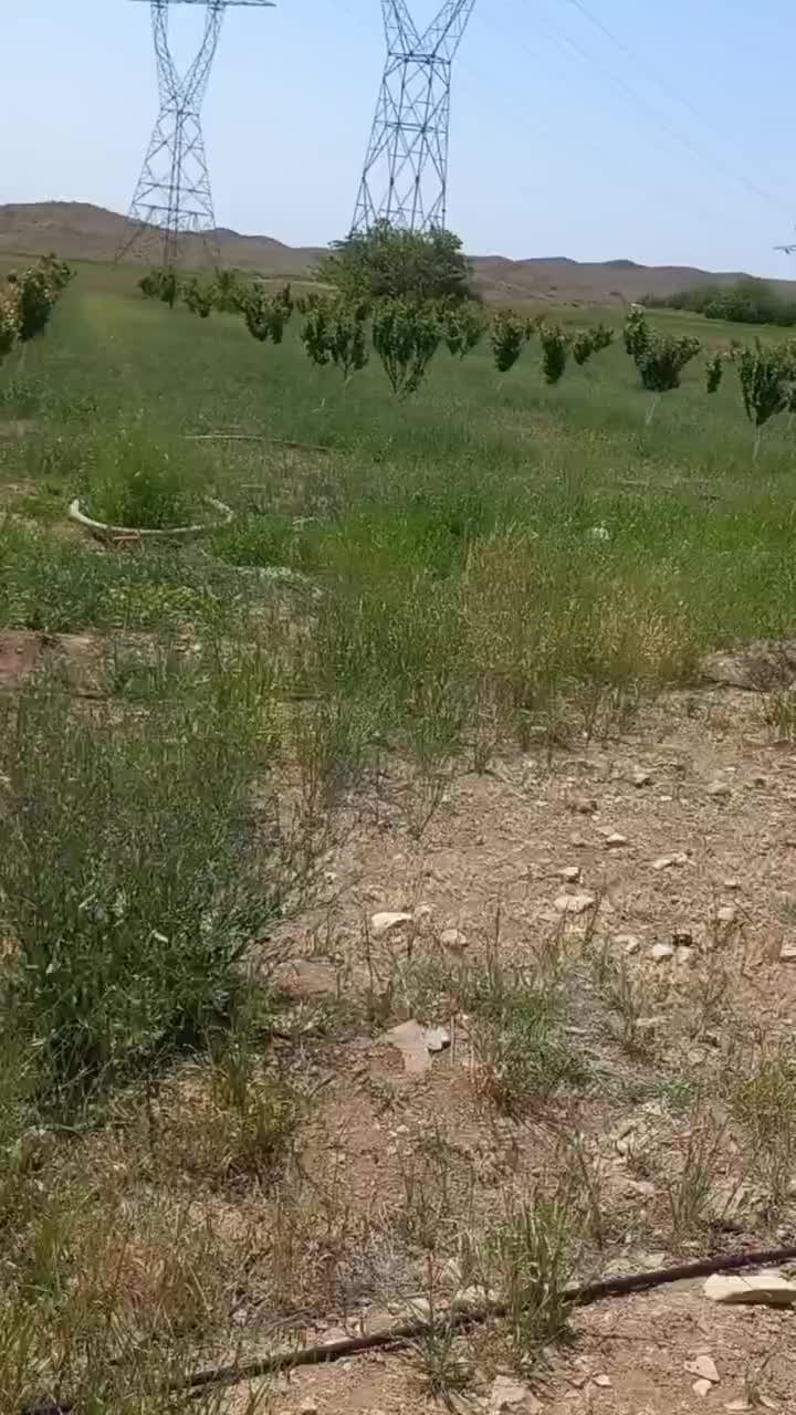 باغ|فروش خانه و ویلا|قاهان, |دیوار