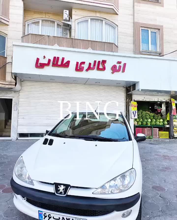 پژو206مدل1399 وی8 (اتو گالری طلایی)|خودرو سواری و وانت|مشهد, سید رضی|دیوار