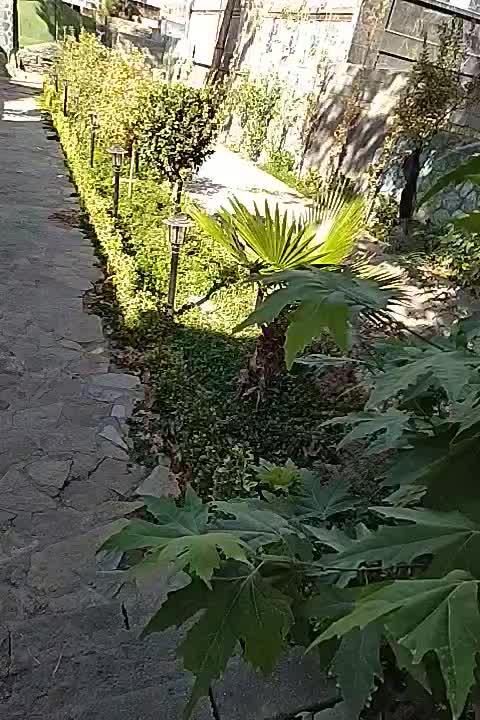 کافه قلیون فوری|اجارهٔ مغازه و غرفه|شاندیز, |دیوار