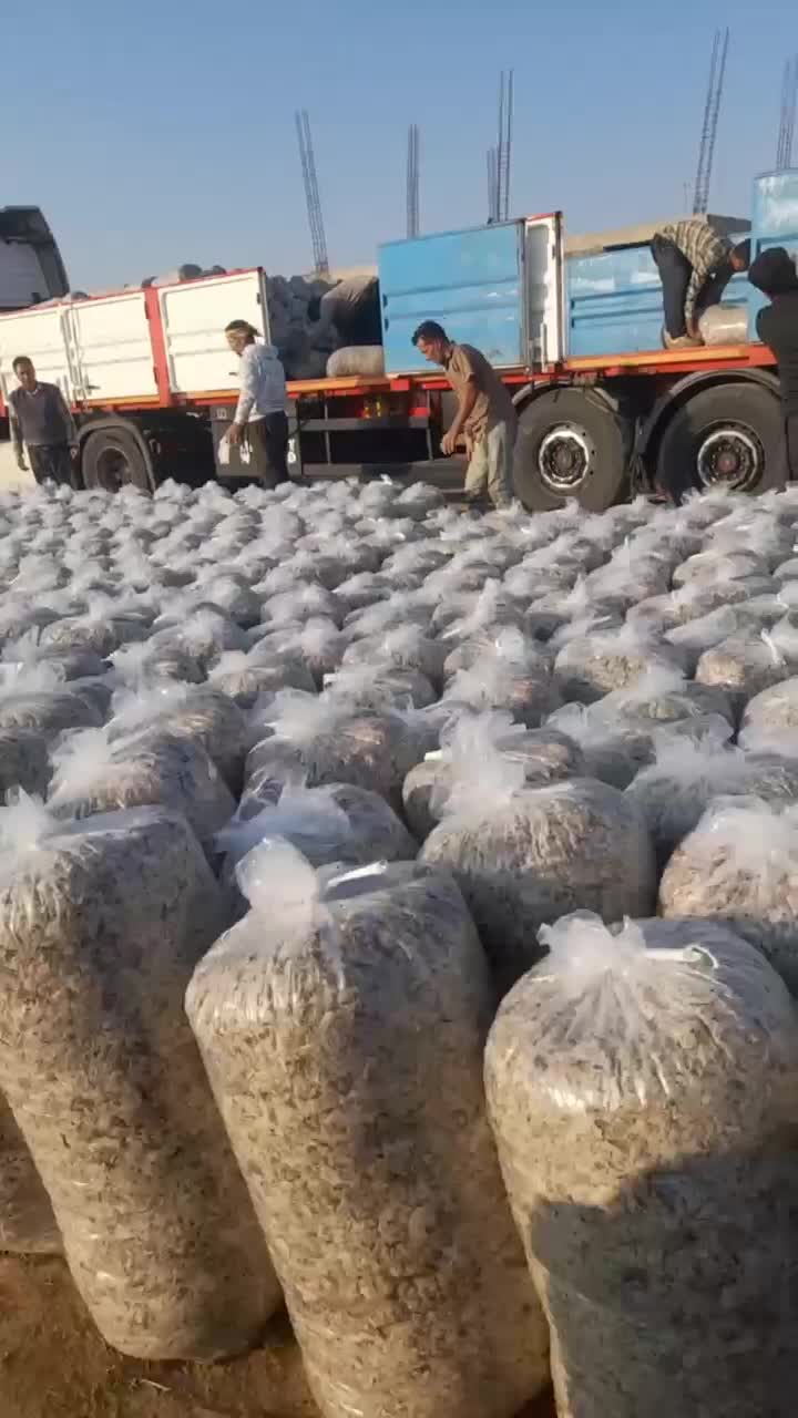 تفاله چغندر قند|عمدهفروشی|چهاربرج, |دیوار