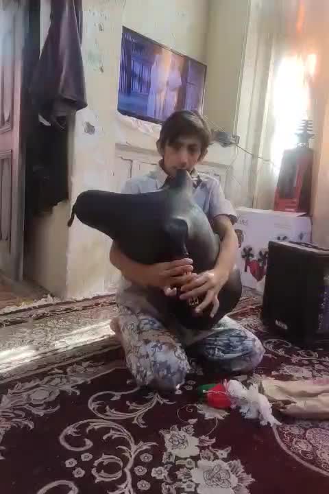 دو عدد نیهمبان برای فروش هر دو تزمینی|سازهای بادی|شیراز, سیاه سنگ|دیوار