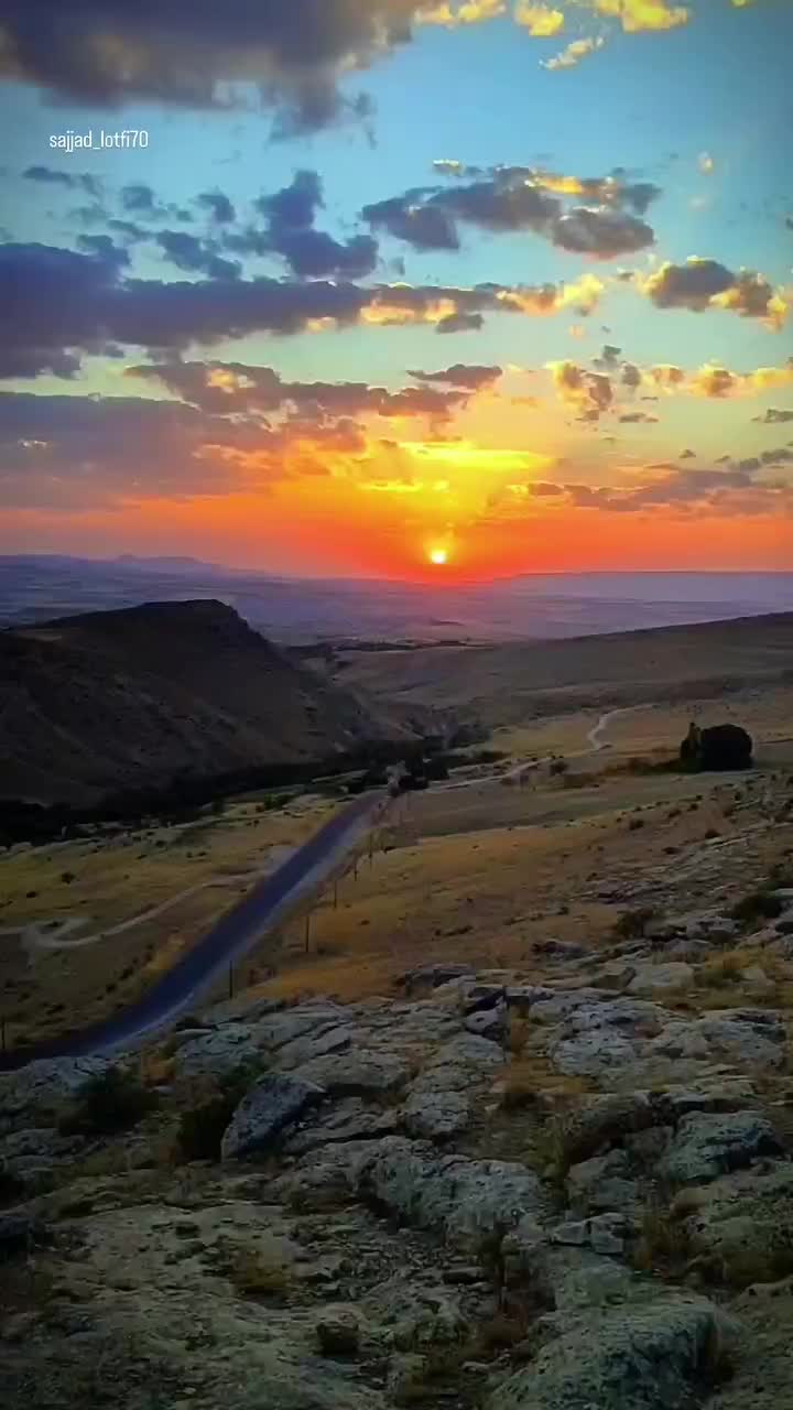 زوج|فعالیت داوطلبانه|شیراز, آبیاری|دیوار