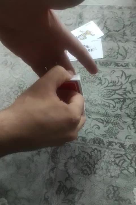 پاسور پاستور راکت( شرکت رویال)اورجینال اصلی نو|کلکسیون و سرگرمی|محمدشهر, همایون ویلا|دیوار