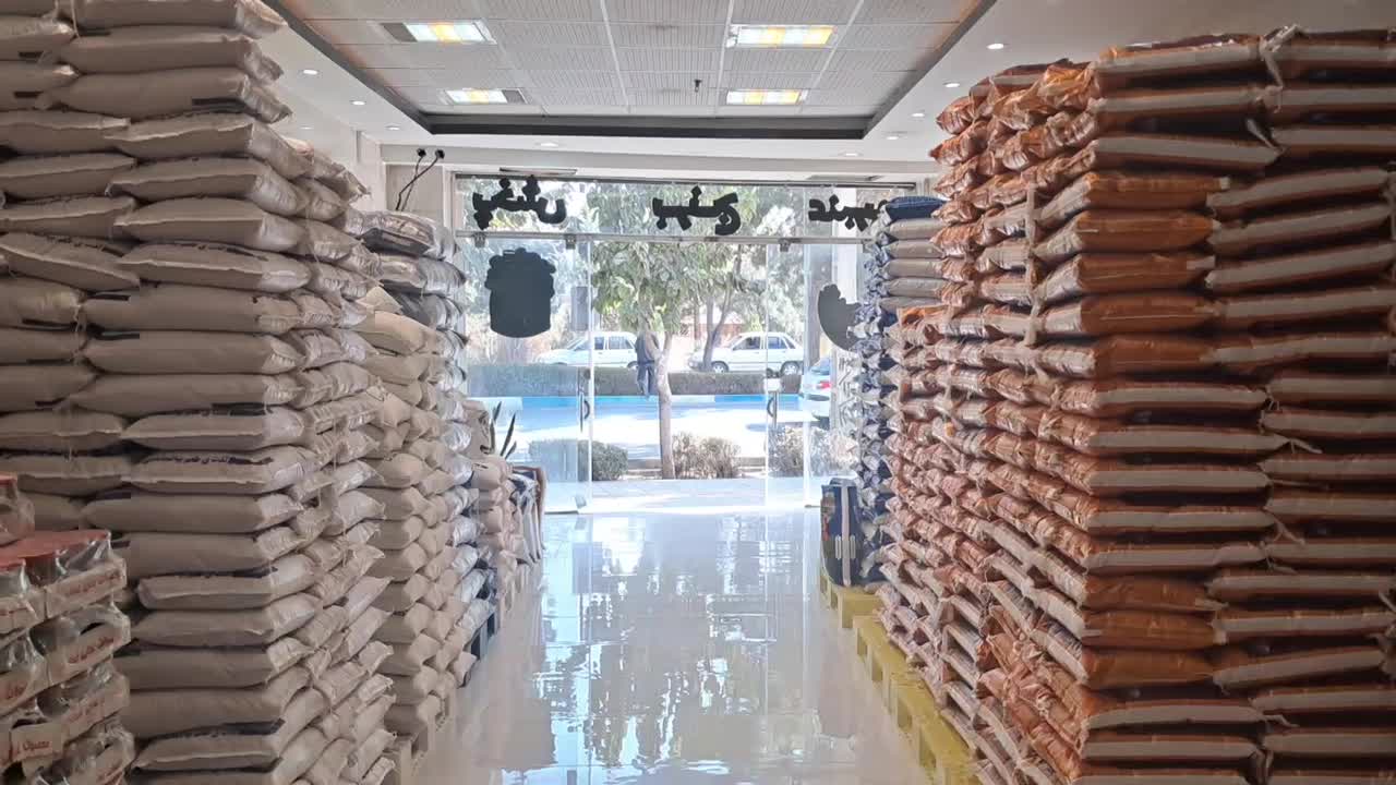 فروش عمده ی انواع  برنج|خوردنی و آشامیدنی|اصفهان, صدف|دیوار
