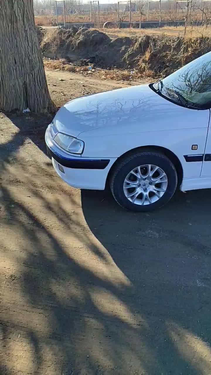 پژوپارس سال|خودرو سواری و وانت|ملایر, |دیوار