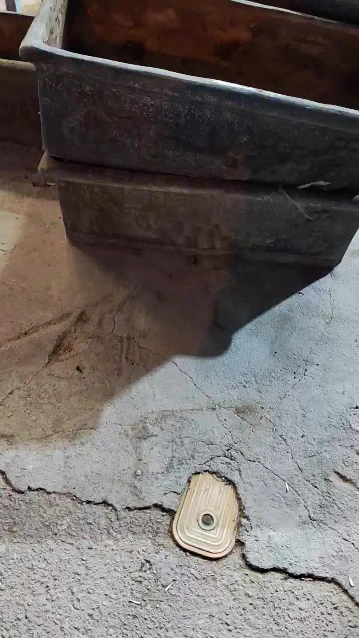 گلدان سفال|گل و گیاه طبیعی|کازرون, |دیوار