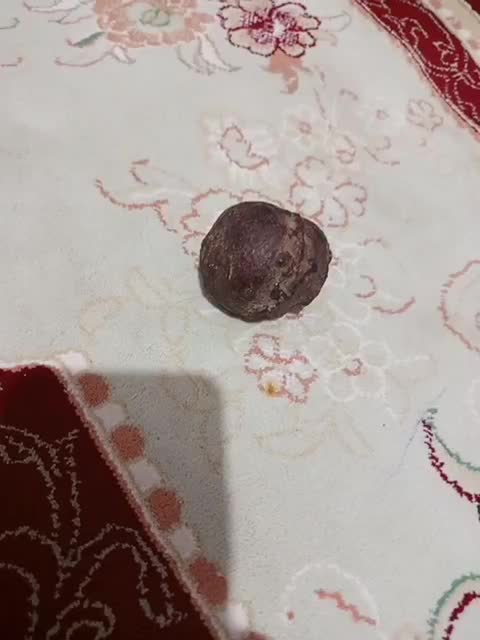 شهاب سنگ|کلکسیون اشیاء عتیقه|کلاله, |دیوار