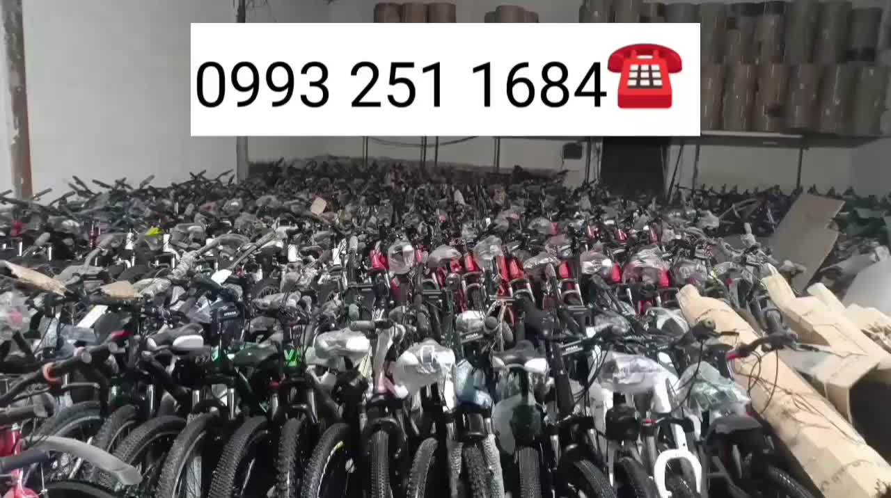 دوچرخه viva سری اگانس حرفه‌ای نو نو|دوچرخه، اسکیت، اسکوتر|چهاردانگه (تهران), |دیوار