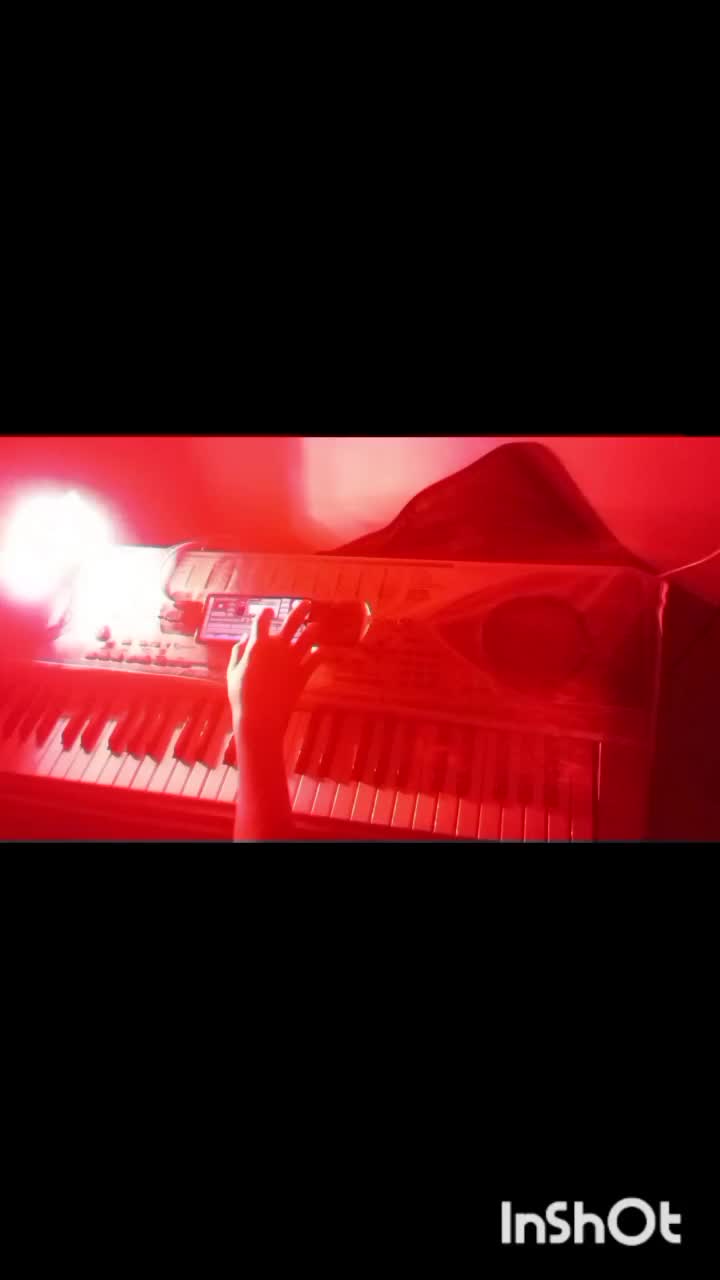 ارگ سالم|پیانو، کیبورد، آکاردئون|بجنورد, |دیوار