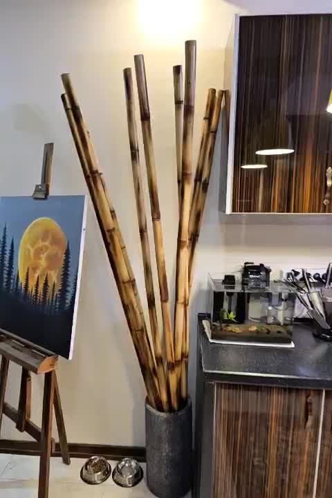 گلدان بامبو تایلندی|گل و گیاه طبیعی|ری, دولت‌آباد|دیوار