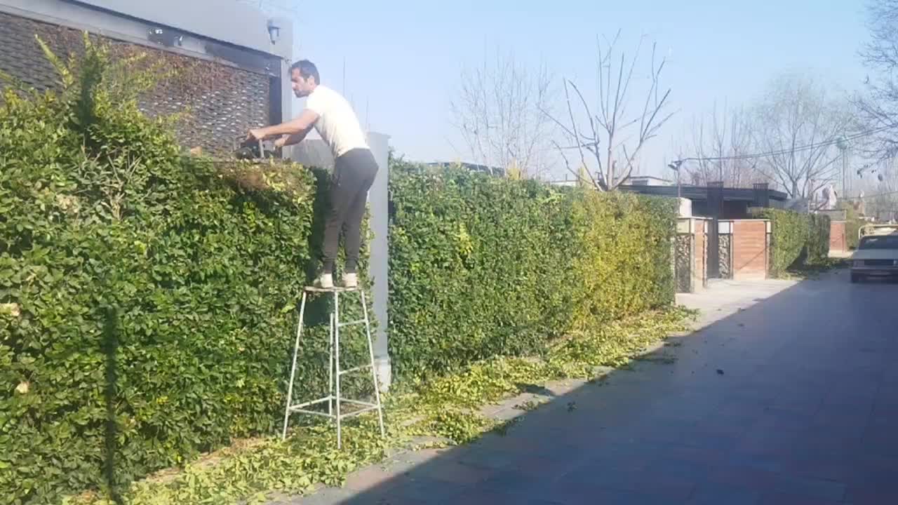 هرس درختان میوه و هرس فرم تزئینی|خدمات باغبانی و درختکاری|هشتگرد, تهران دشت|دیوار