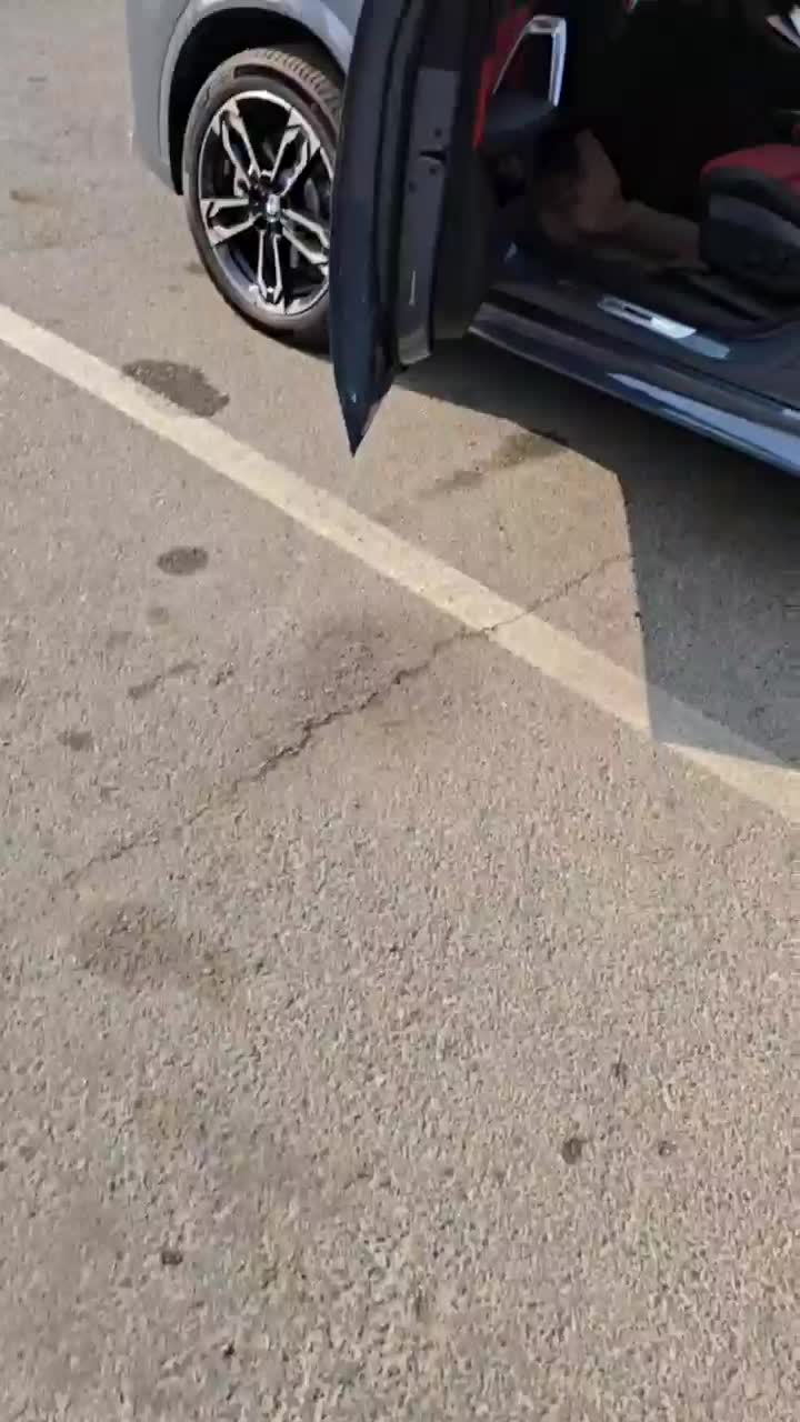 برای فروش|خودرو سواری و وانت|ایلام, |دیوار