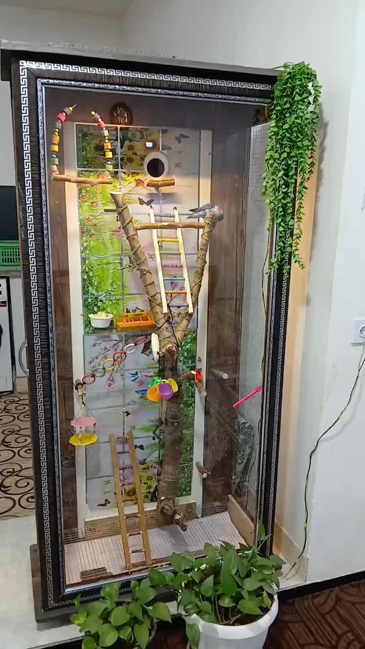 قفس لوازمی پرنده|لوازم جانبی حیوانات|تربت جام, معدآباد|دیوار