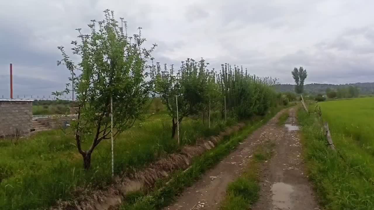 زمین کشاورزی سیاحومه 45000 متر با سندو قولنامه|فروش دفتر صنعتی، کشاورزی، تجاری|بانه, |دیوار