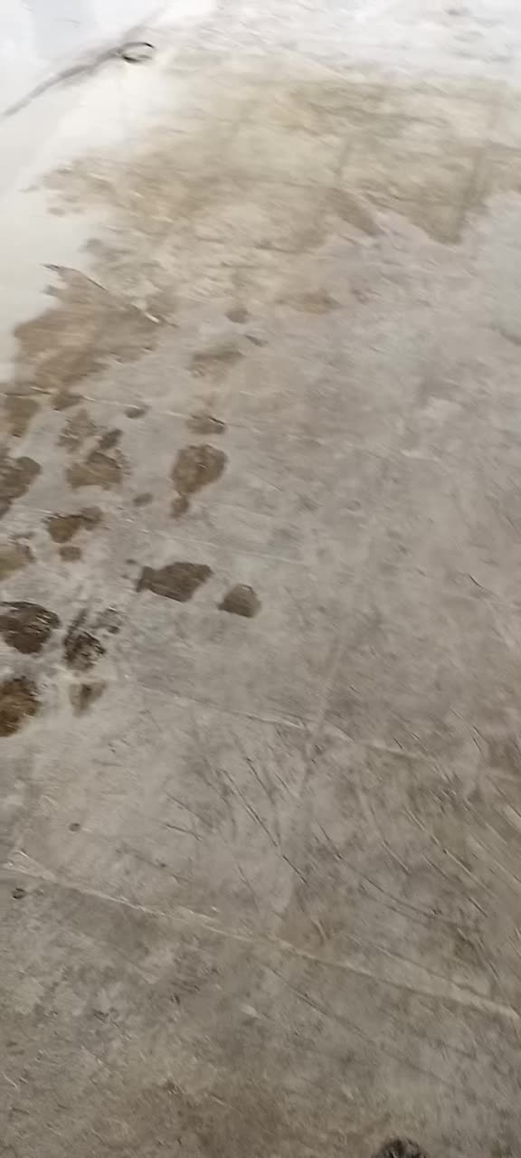 کفسابی نماشوی سنگ سابی کار در ارتفاع|خدمات نظافت|تهران, الهیه|دیوار