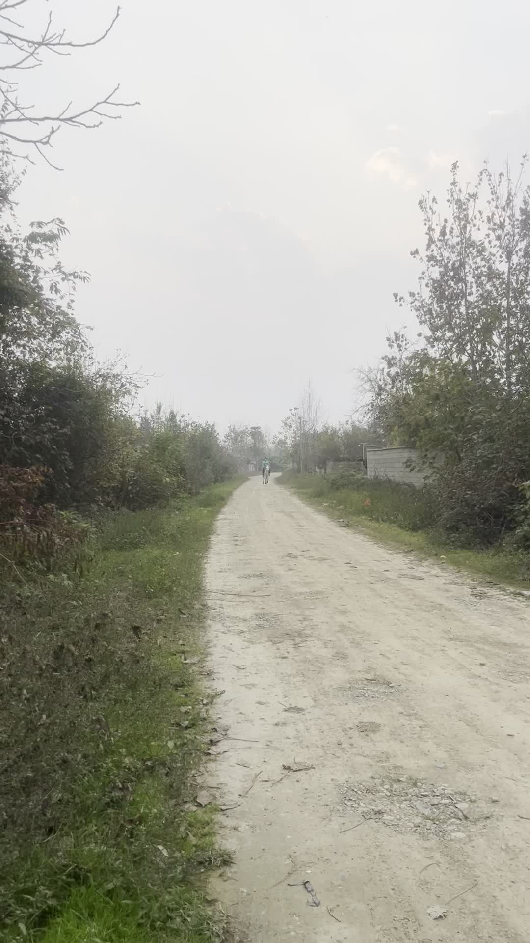 اسب عرب کرد|اسب و تجهیزات اسبسواری|رشت, پسیخان|دیوار