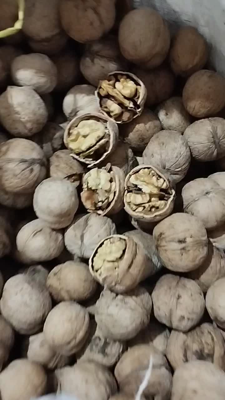 گردو درجه یک سپیدان مغز سفید بدون خرابی عالی|عمده‌فروشی|شیراز, گویم|دیوار