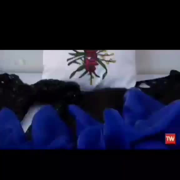 آموزش خیاطی وگلدوزی وطراحی لباس|خدمات آموزشی|تبریز, |دیوار