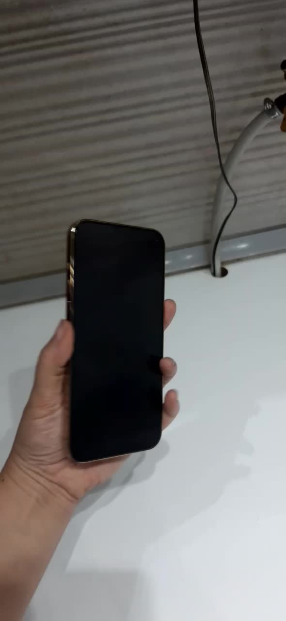 فروش گوشی آیفون ۱۳پرومکس در حد نو|موبایل|اصلاندوز, |دیوار