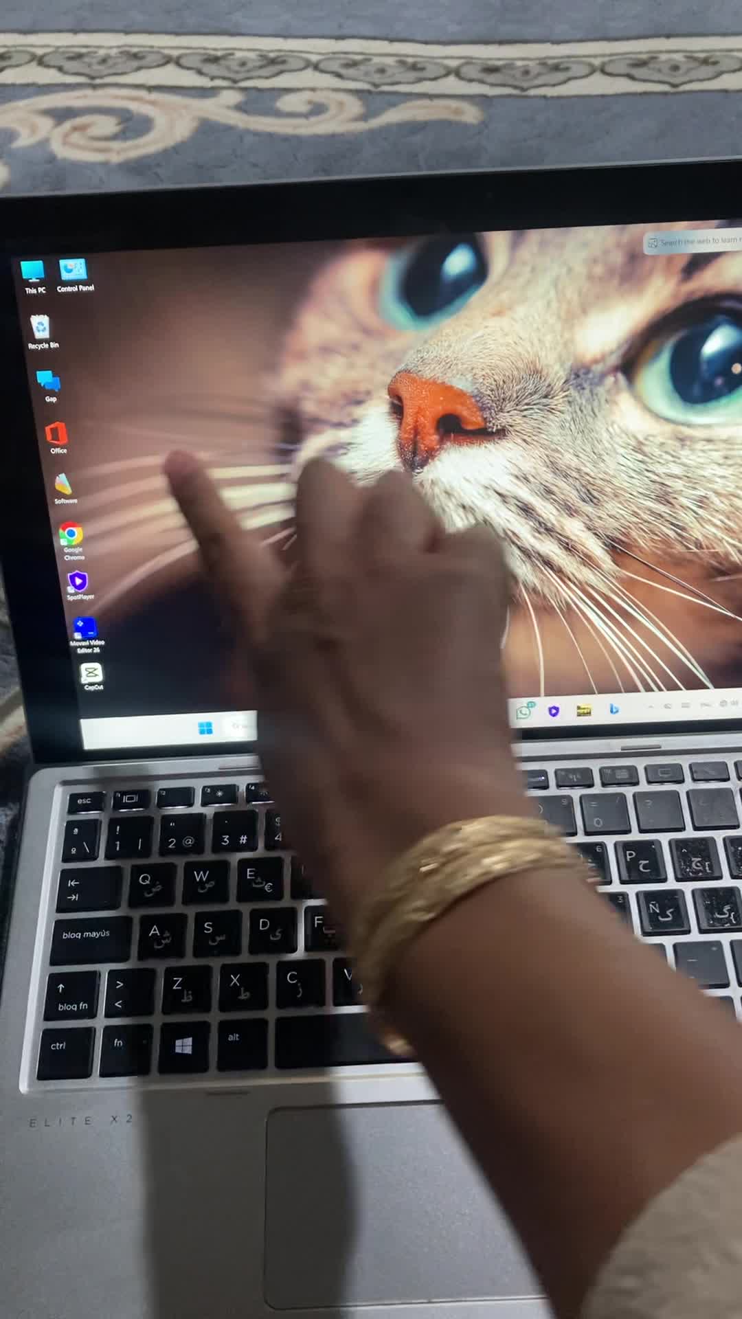 لپ تاپ|رایانه همراه|شیراز, آزادگان|دیوار