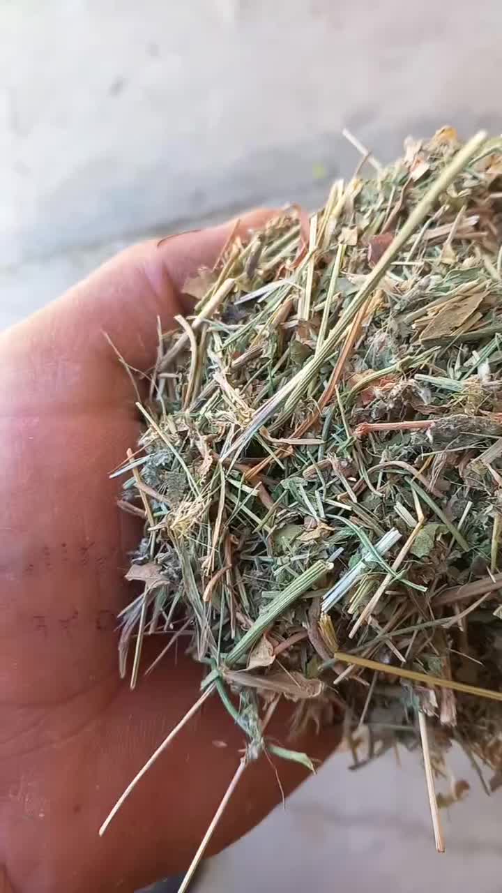 یونجه|عمده‌فروشی|ملایر, |دیوار