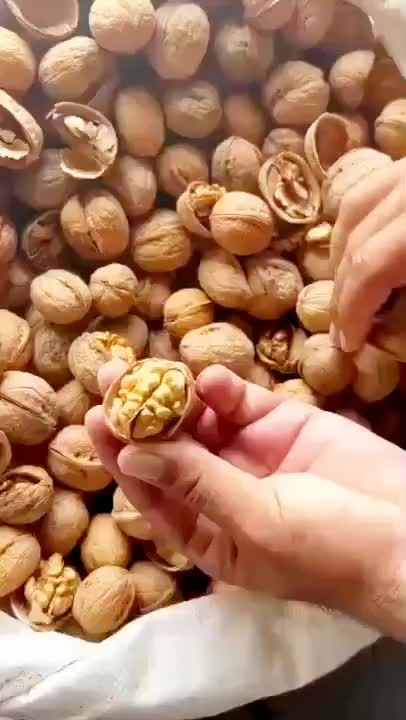 گردو پوست کاغذی ۶۴۵/۰۰۰      باضمانت ( بدون پوچی )|خوردنی و آشامیدنی|قم, ولیعصر|دیوار