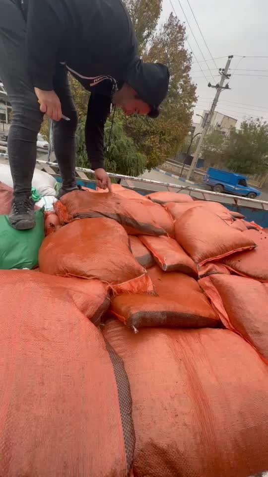 کشمش|خوردنی و آشامیدنی|قزوین, |دیوار