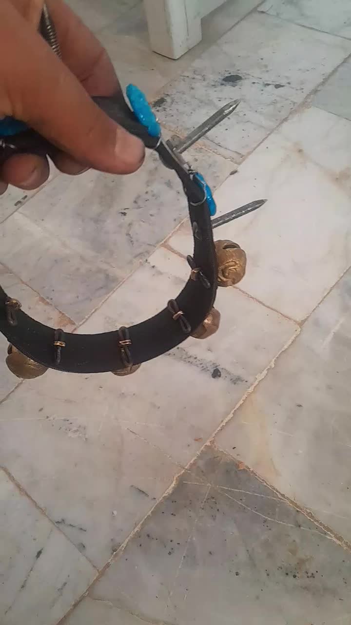 زنگ سگ|لوازم جانبی حیوانات|مشهد, پایین خیابان|دیوار