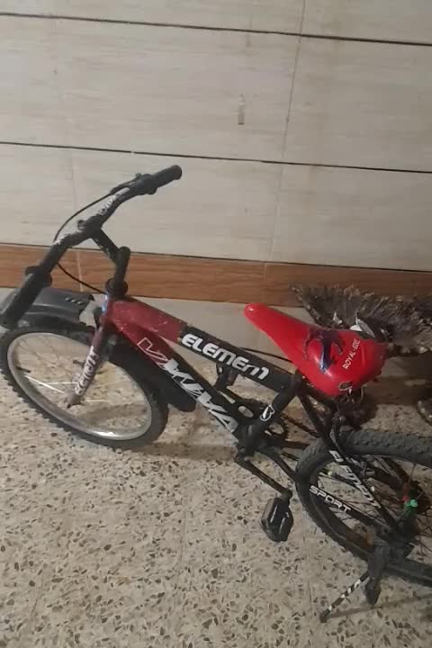 دوچرخه|دوچرخه، اسکیت، اسکوتر|شوشتر, |دیوار