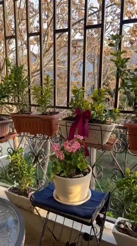 شهرک غرب ویلایی 200 متر 3 خوابه|اجارهٔ خانه و ویلا|تهران, سیمای ایران|دیوار