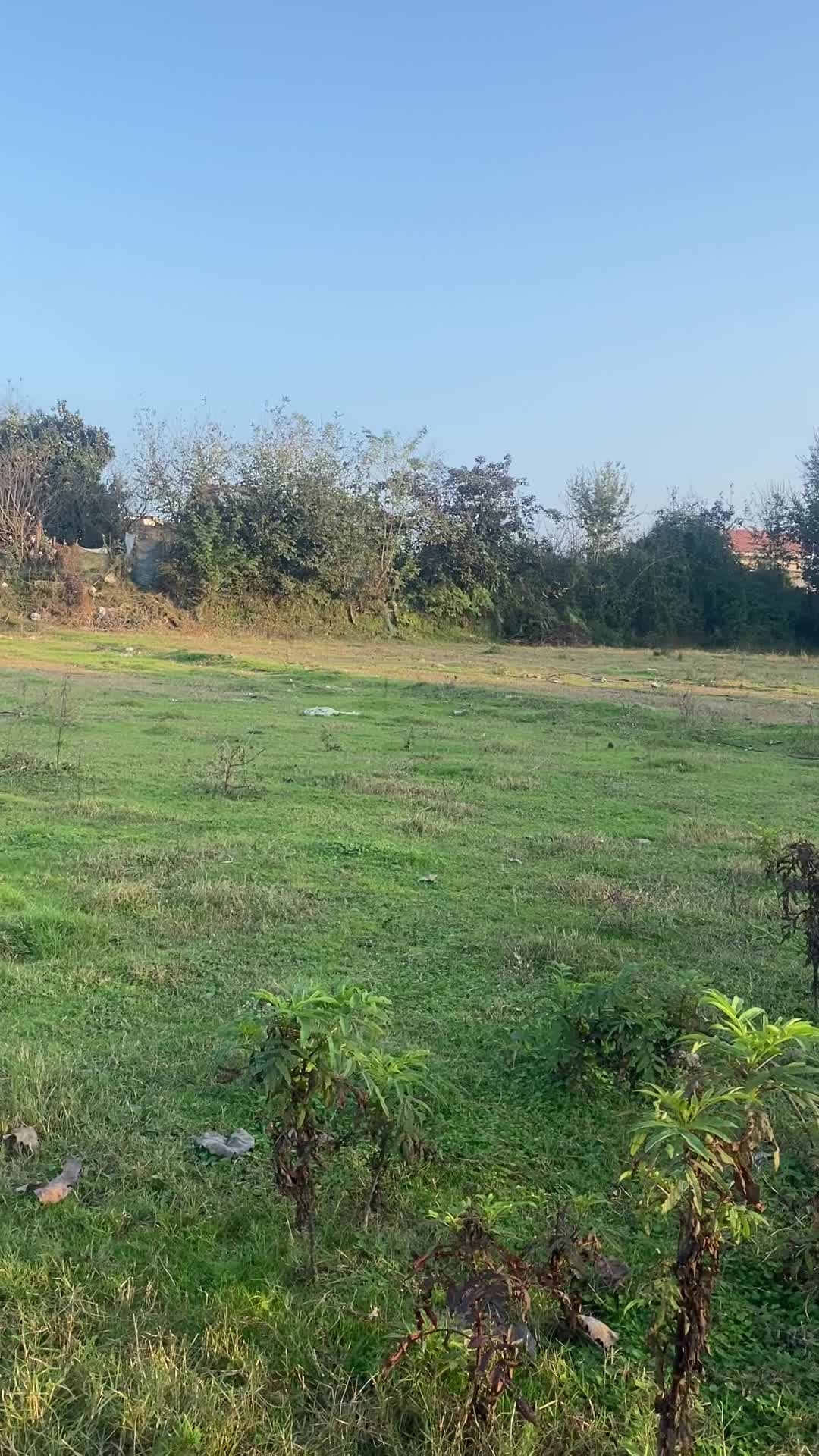 فروش زمین در منطقه دنج وارام معاوضه با ماشین|فروش زمین و ملک کلنگی|تهران, شهرک آزادی|دیوار