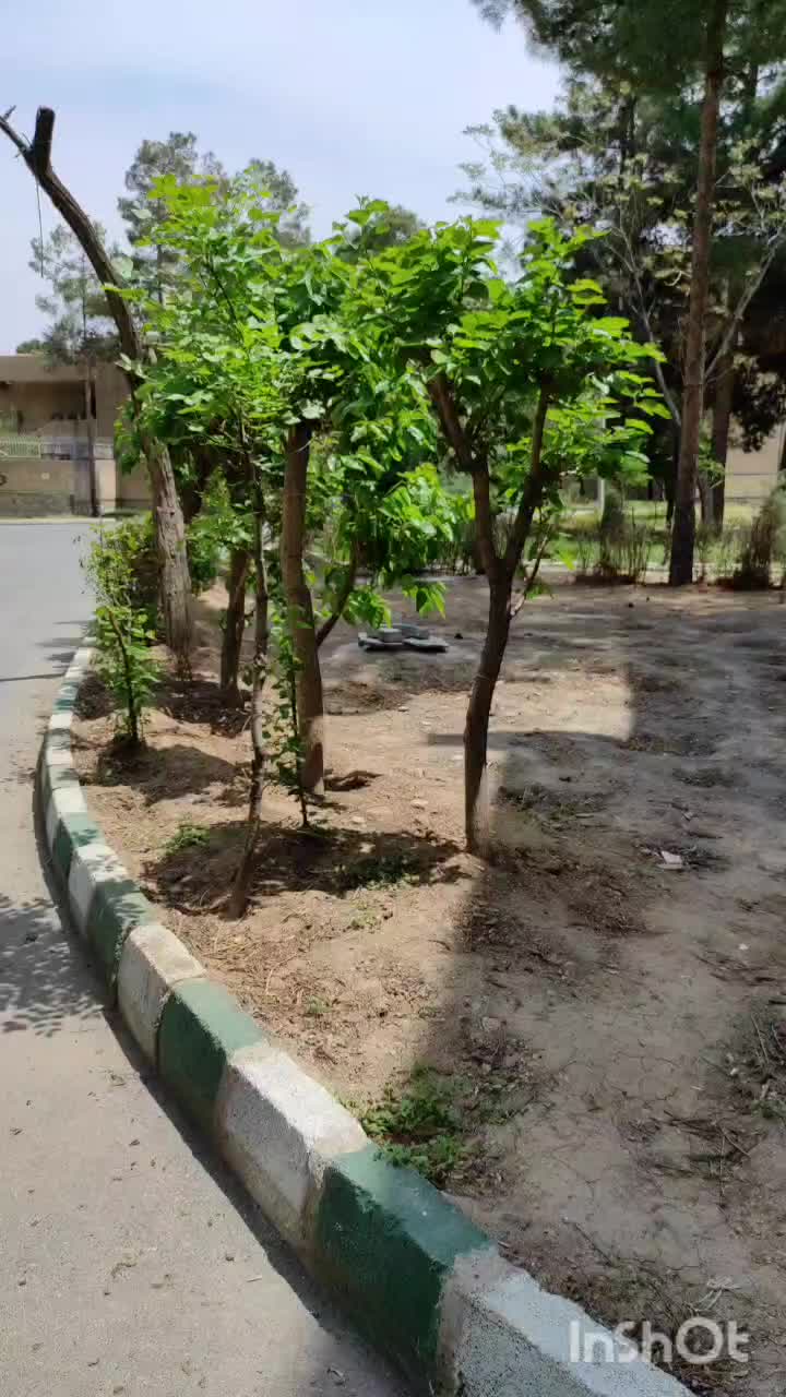 آپارتمان تک واحدی محله آ۳ طبقه همکف راه مجزا|فروش آپارتمان|فولادشهر, A3|دیوار